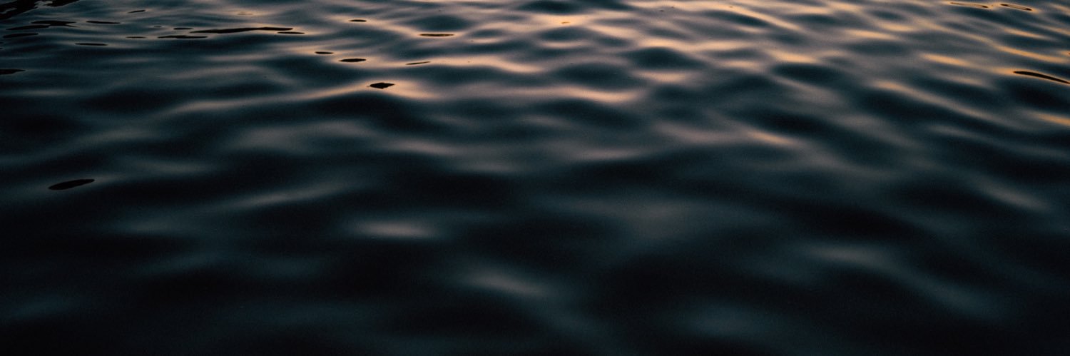 maesenemo's profile banner image