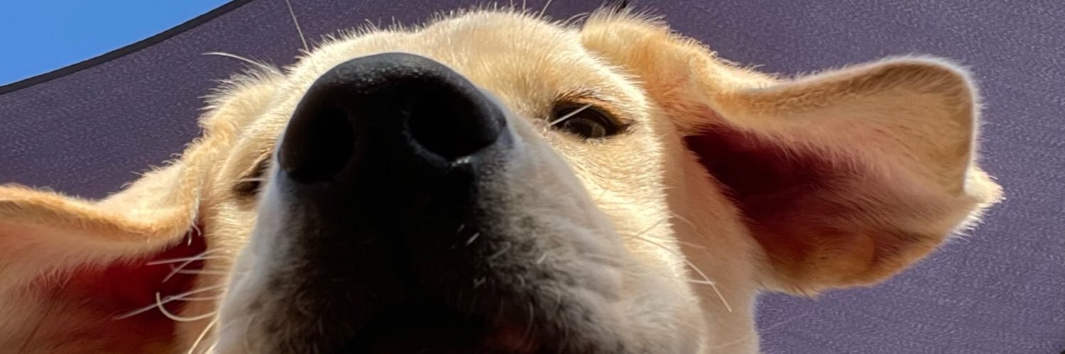 addisonmckiss's profile banner image