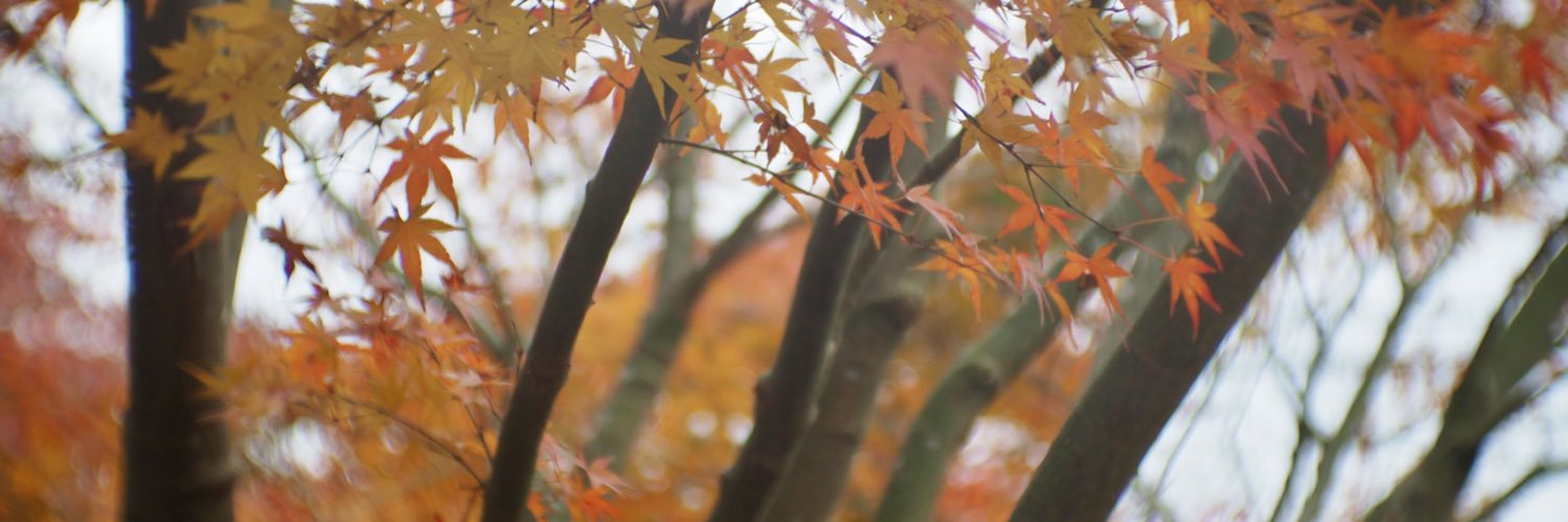棒振り banner