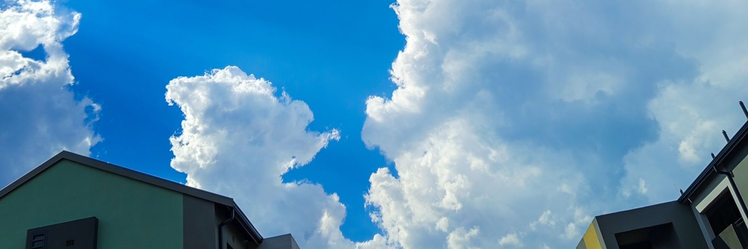 Who Taught You? banner