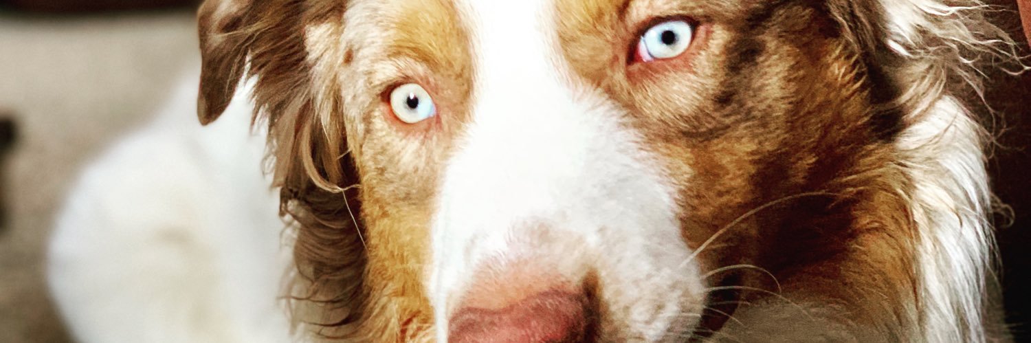 BrookeKaecker's profile banner image