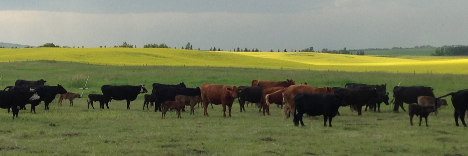 AlbertaAgrisystemsLL banner