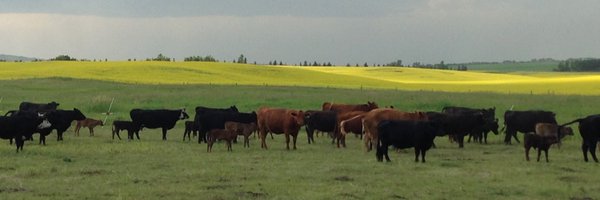 AgrisystemsLL Profile Banner