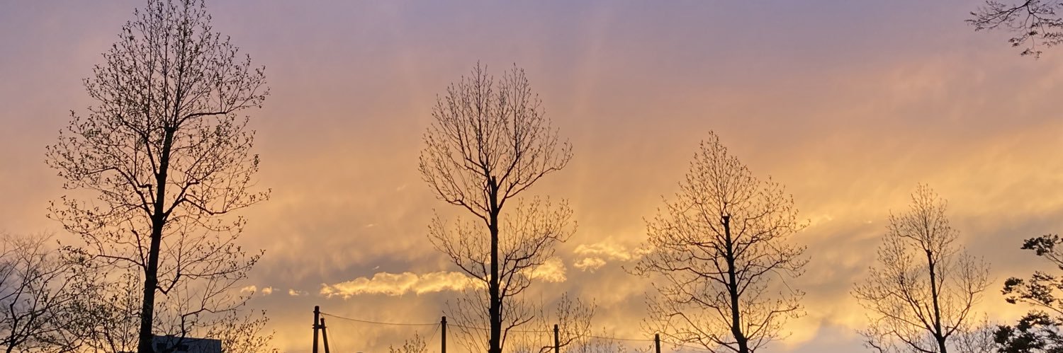 Sherry_K's profile banner image