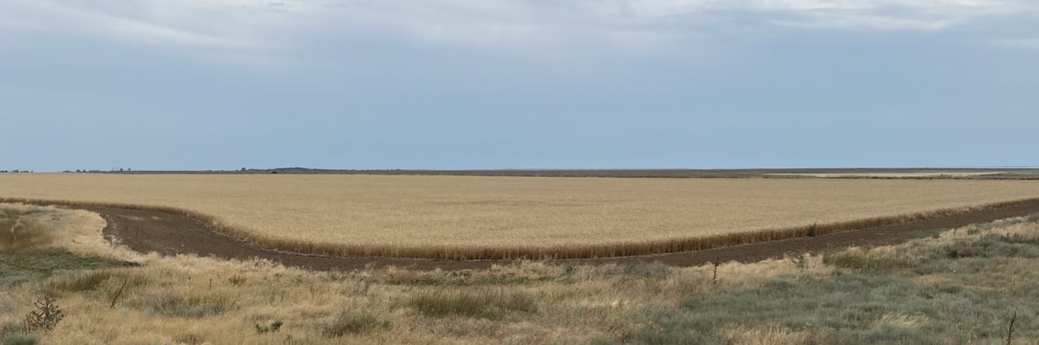 Дмитрий Кисиев's banner