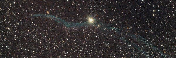 manumarchal Profile Banner