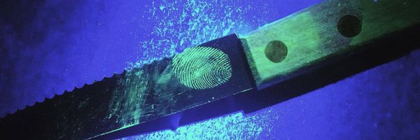 AnnaVagli Profile Banner