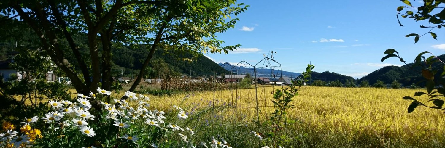 niji617's profile banner image