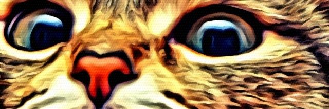 christiantokc's profile banner image