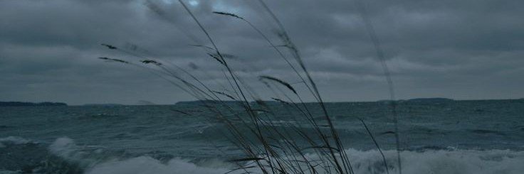 nikwmil's profile banner image
