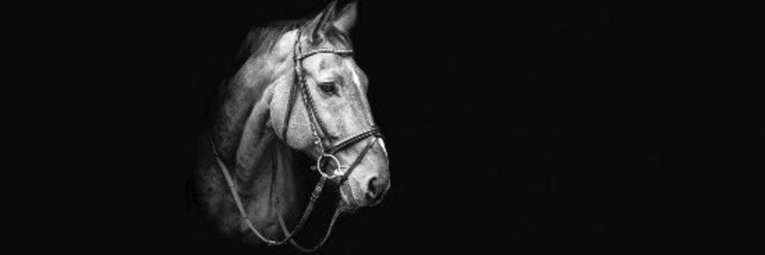 ghouri112233's profile banner image