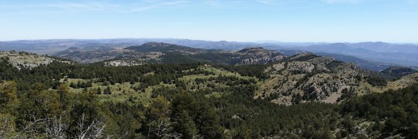 lydelcan Profile Banner