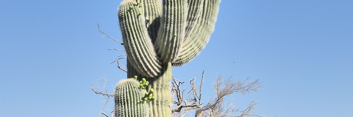 kman5oh's profile banner image
