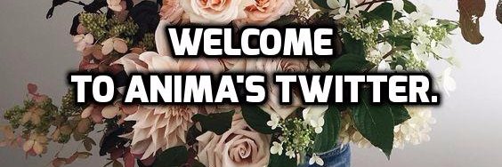 obviously closed❗️ banner