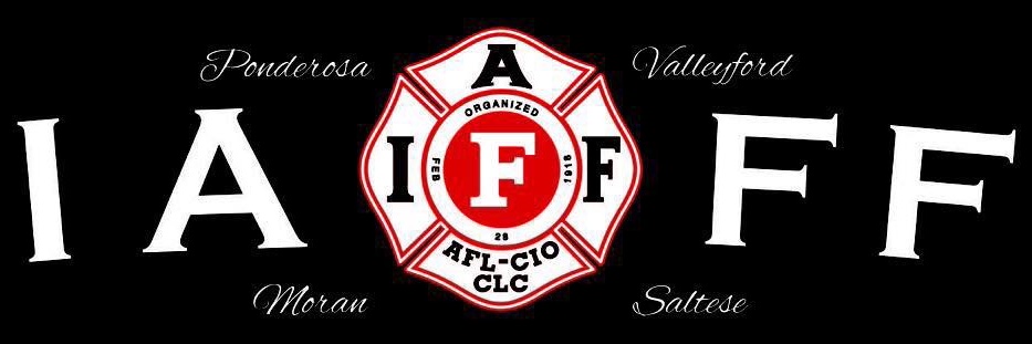 Spokane Co.FD8 Firefighters's banner