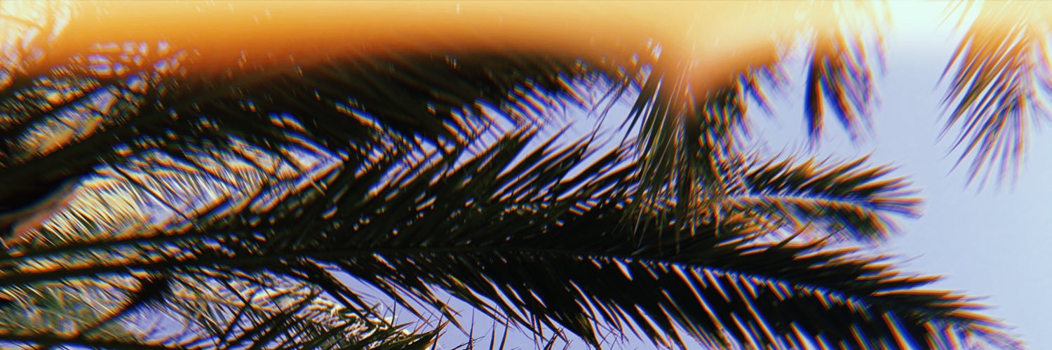 AlshabibiAya's profile banner image