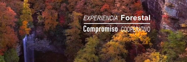 agrestascoop Profile Banner