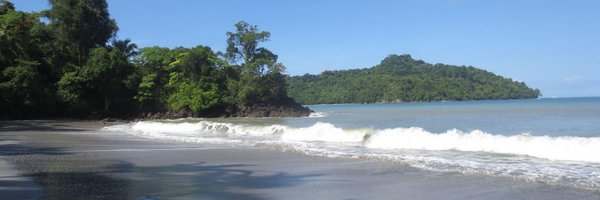 danniediego Profile Banner