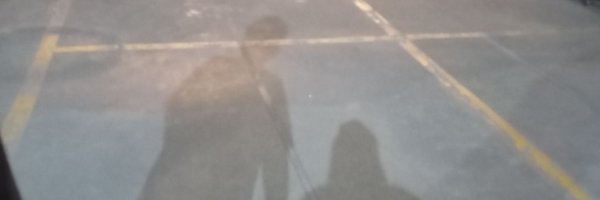leciifloat_ Profile Banner