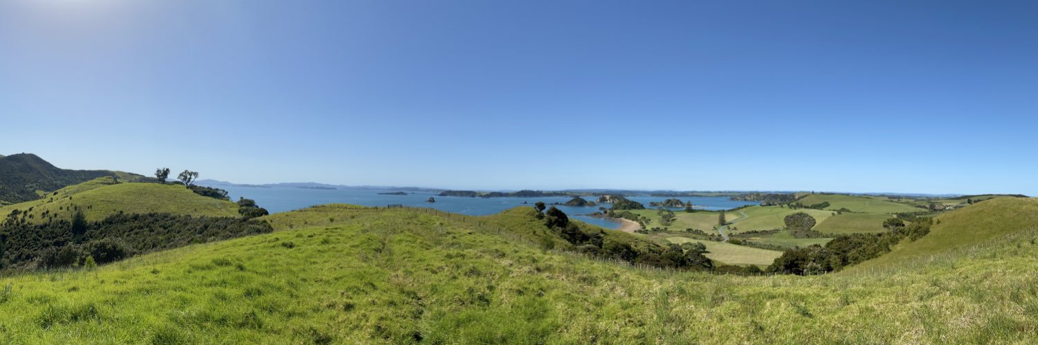 Tyler Doremus banner