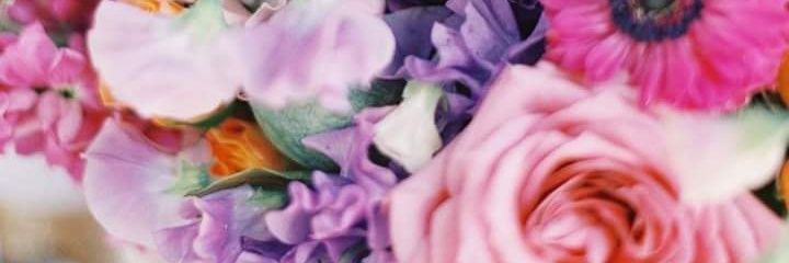 MARCEMIMA's profile banner image