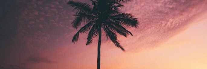 c_malone18's profile banner image