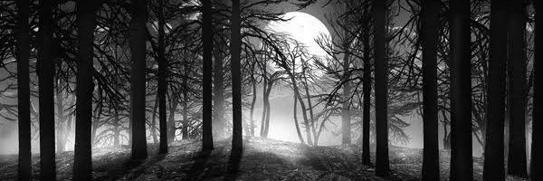 Lilith Witch🔥 banner