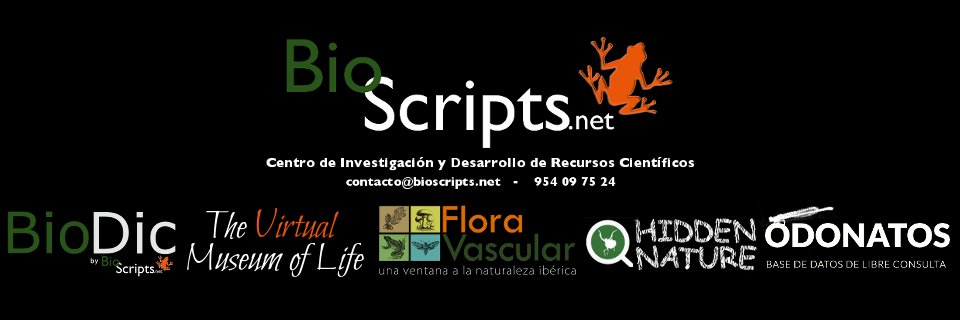 bioscripts's profile banner image