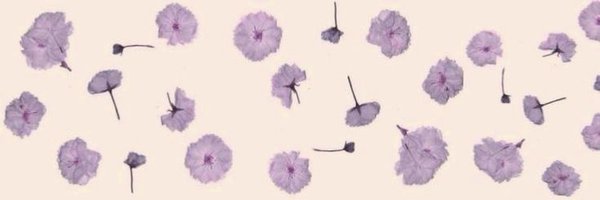 userlinoring Profile Banner