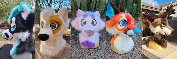 HeadsAndTailsAZ Profile Banner