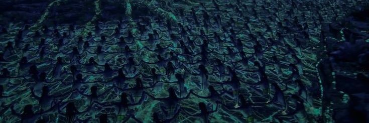 ៚ ᘒ | MANDEN CC'S banner