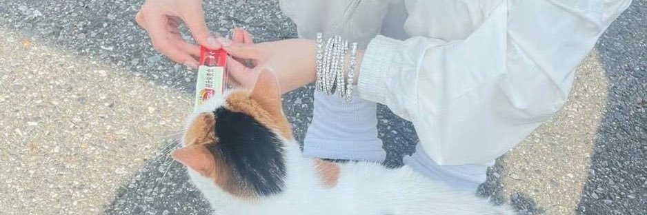 lee0923v's profile banner image
