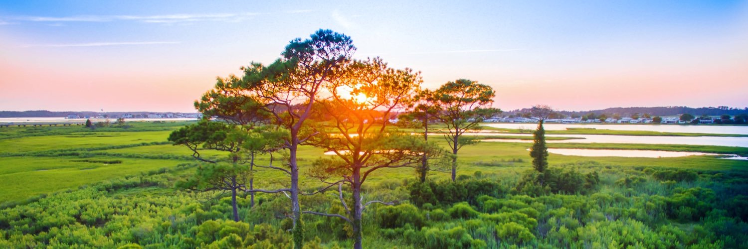 Dew_Point_Media's profile banner image