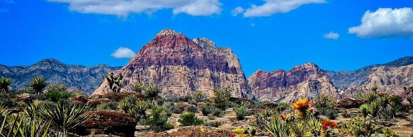 Friends of Red Rock Canyon banner