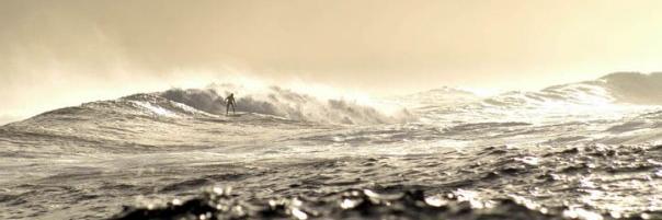 Maryann__Shaw's profile banner image