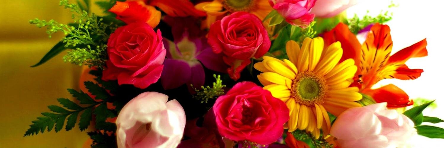 monideepaghosh9's profile banner image