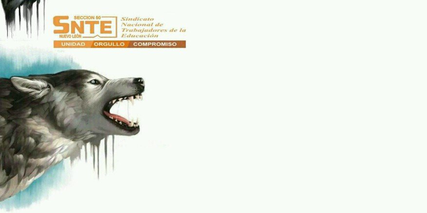 loboregio's profile banner image