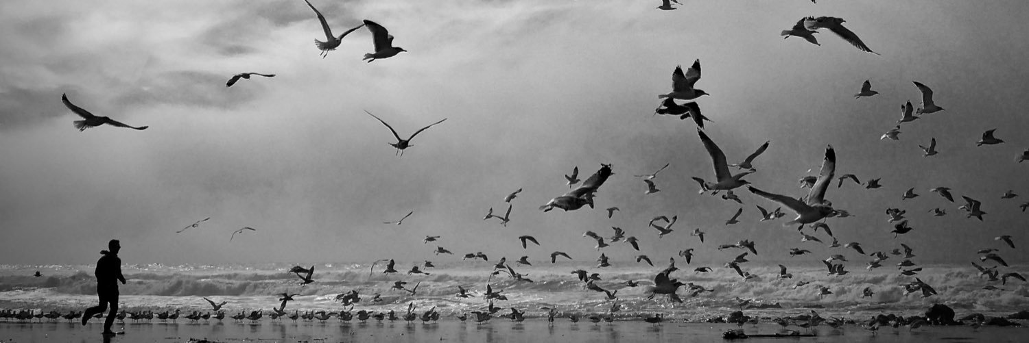 manueljimenez's profile banner image