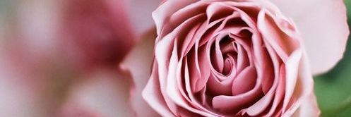 July_S10's profile banner image