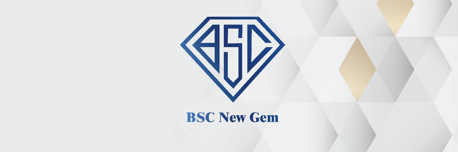 BSCNewChannel's profile banner image