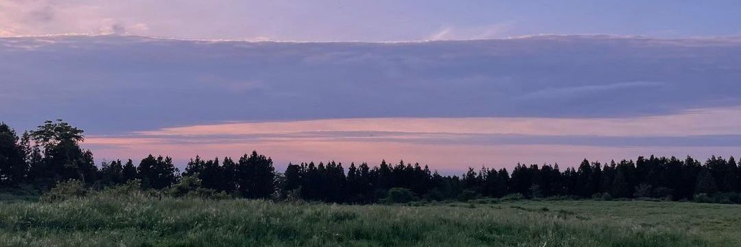 𝒔 banner