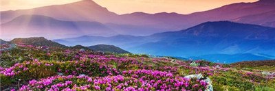 oho3301's profile banner image