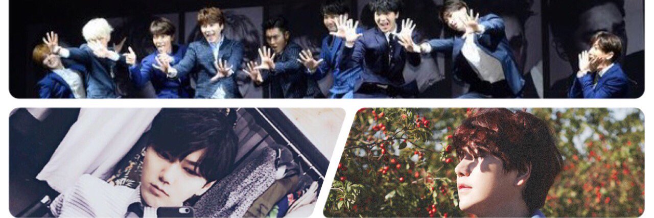 xiahax's profile banner image