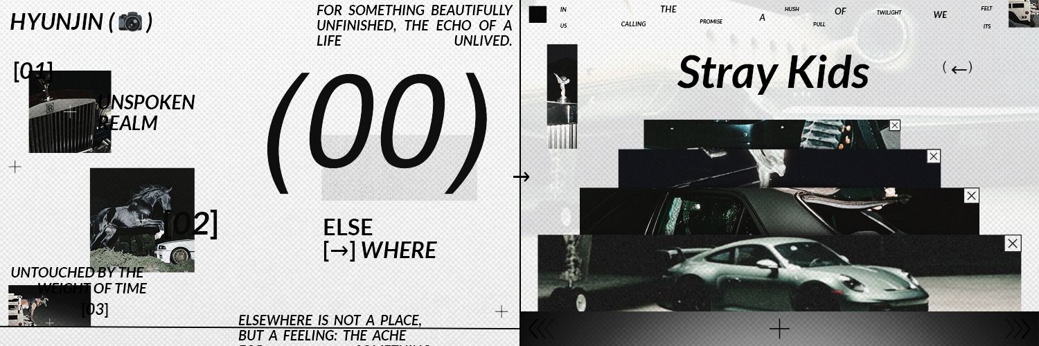 ara 𓆩♡𓆪 banner