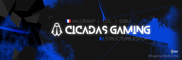 CICADAS Gaming Profile Banner