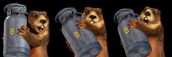 TheMarmottoshis Profile Banner