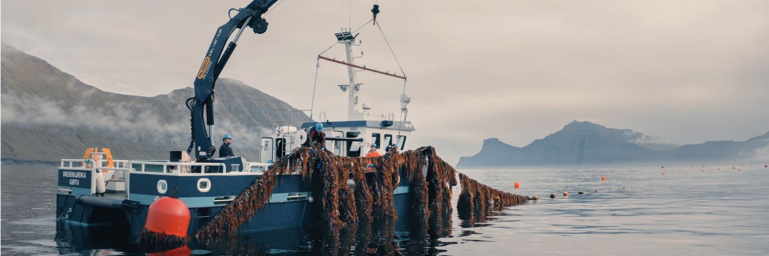 SeaMark: Seaweed-based Market Applications banner
