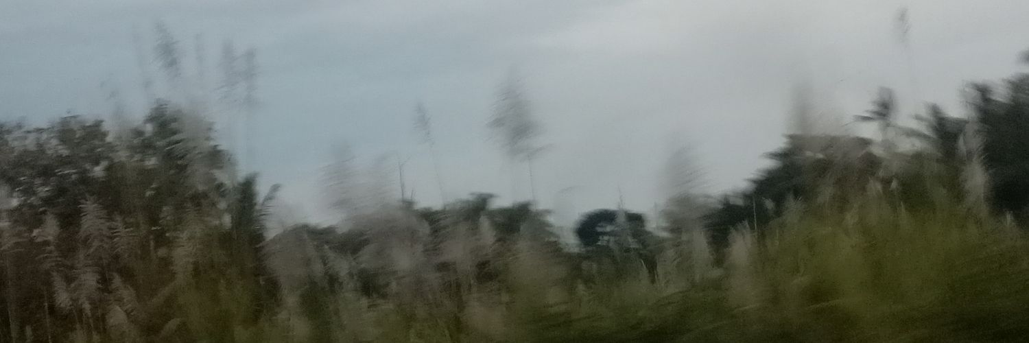 callmemiloo's profile banner image
