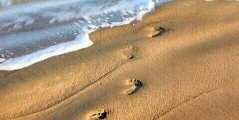 César M. Mnz Acevedo banner