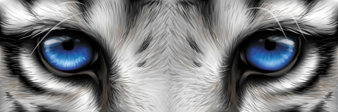 Mighty_Elenka's profile banner image